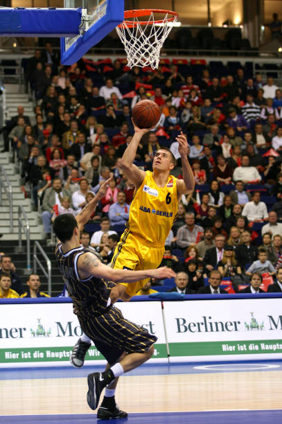 例如在引进 例如在引进