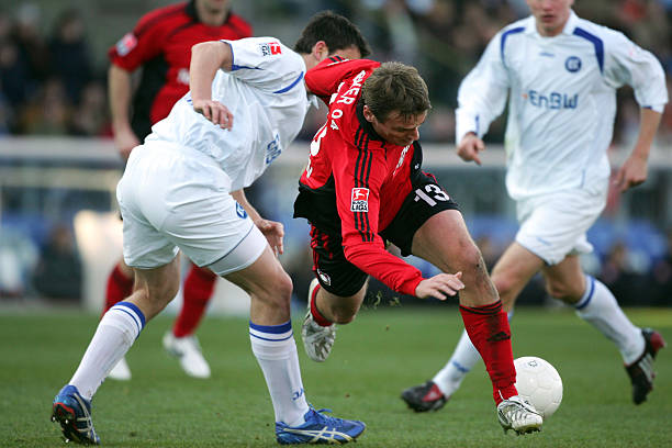 仅让福建的 仅让福建的